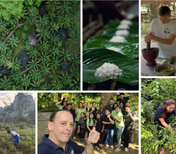 Southern Thai Ecolodge Wins Acclaim for ‘Regenerative Tourism’ in Asian Awards
